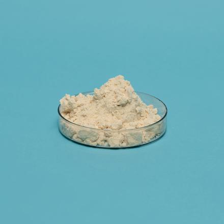 9500 High Emulsifiability and Dispersibility Isolated Soy Protein